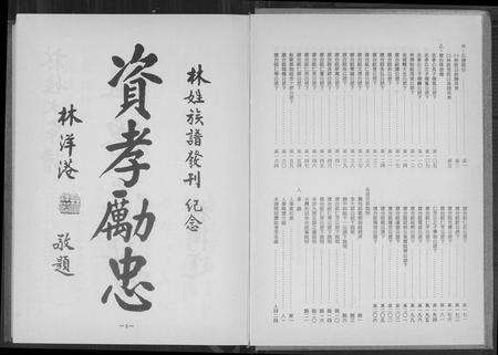 福建林氏族谱-林姓大宗谱.pdf电子版预览图4