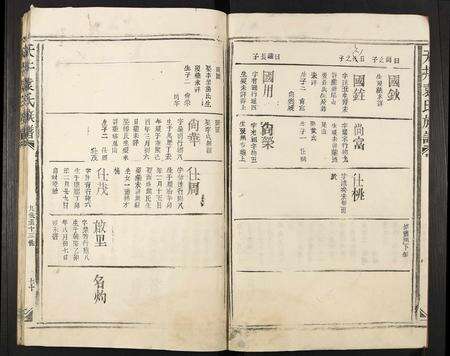 江西袁氏族谱-天井袁氏族谱.pdf电子版预览图4