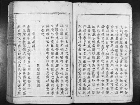 江西袁氏族谱-泰和城西后街袁氏族谱[不分卷].pdf电子版预览图4