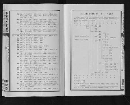 安徽詹氏族谱-中华詹氏统宗谱.pdf电子版预览图4