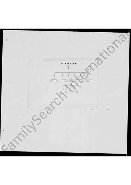 福建林氏族谱-林氏世系表.pdf电子版预览图4