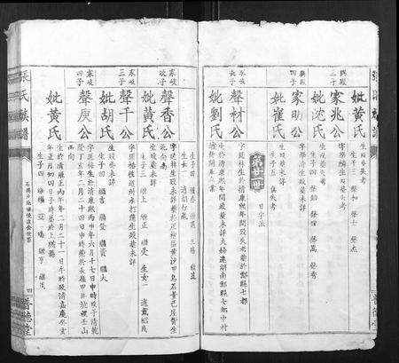 江西张氏族谱-张氏族谱.pdf电子版预览图4