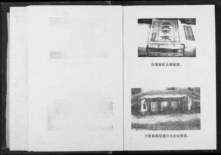 江西张氏族谱-沙里张氏族谱.pdf电子版预览图4