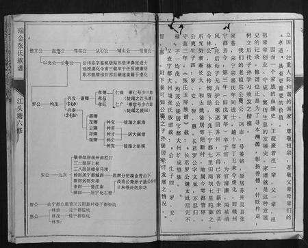 江西张氏族谱-瑞邑江头塘张氏六修族谱.pdf电子版预览图4