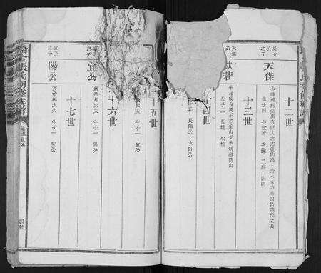 江西张氏族谱-瑞金张氏初修族谱.pdf电子版预览图4