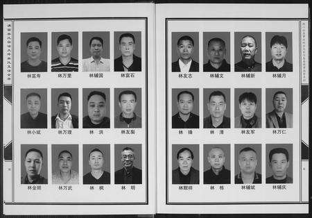 福建林氏族谱-沟西林氏宗谱大坪林氏支谱[全册].pdf电子版预览图4