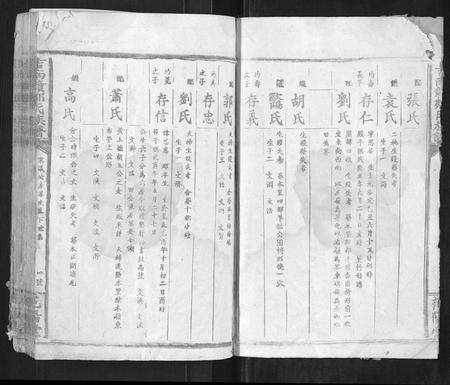 江西邹氏族谱-吉南赣邹氏族谱[不分卷].pdf电子版预览图4