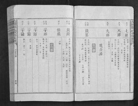 江西邹氏族谱-范阳邹氏重修族谱[不分卷].pdf电子版预览图4