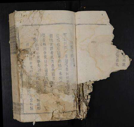 江西叶氏族谱-赣南吉叶氏联修族谱 [不分卷].pdf电子版预览图4