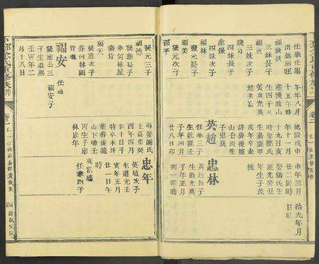 江西余氏族谱-下邳余氏重修族谱 [残卷].pdf电子版预览图4