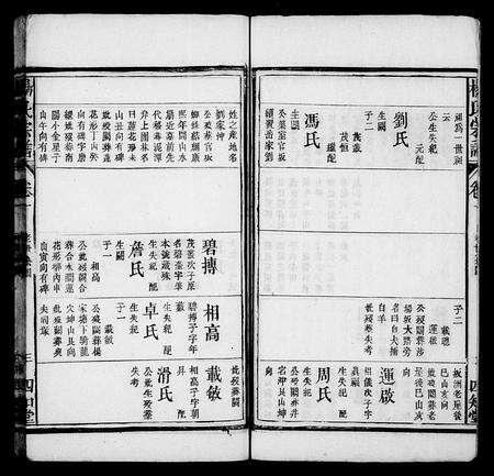 安徽杨氏族谱-杨氏宗谱 [19卷,首1卷].pdf电子版预览图4