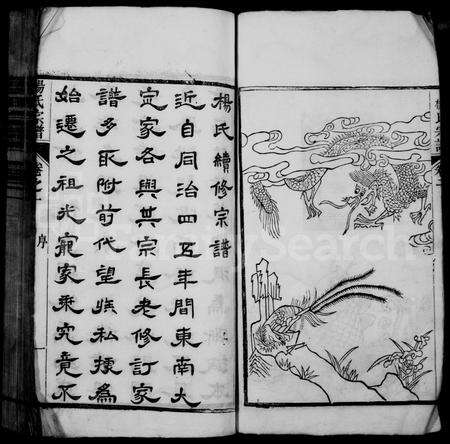 安徽杨氏族谱-杨氏家乘 [16卷].pdf电子版预览图4