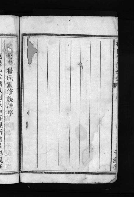 江西杨氏族谱-杨氏重修族谱 [不分卷].pdf电子版预览图4