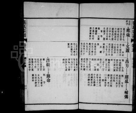 安徽张氏族谱-张氏宗谱 [38卷,末1卷].pdf电子版预览图4