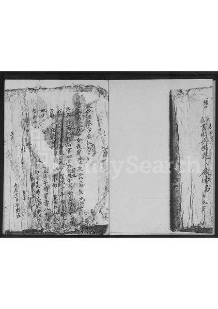 福建林氏族谱-万安林氏族谱.pdf电子版预览图4