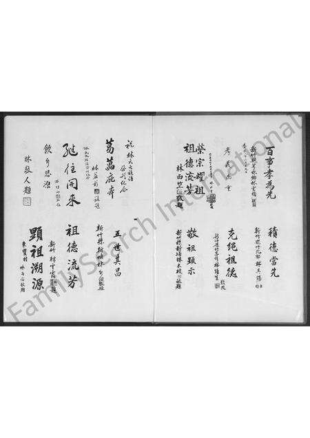 福建林氏族谱-安溪新春林氏大族谱 [不分卷].pdf电子版预览图4