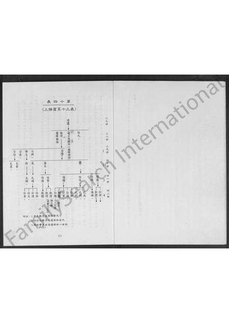福建林氏族谱-龙峰头(漳州府平和县)林姓族谱.pdf电子版预览图4