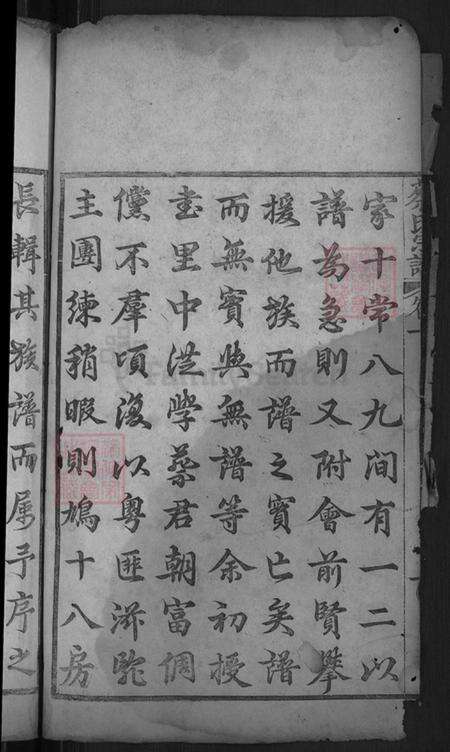 湖北省黄冈市麻城市蔡氏九峰堂族谱-蔡氏宗谱.pdf电子版预览图4