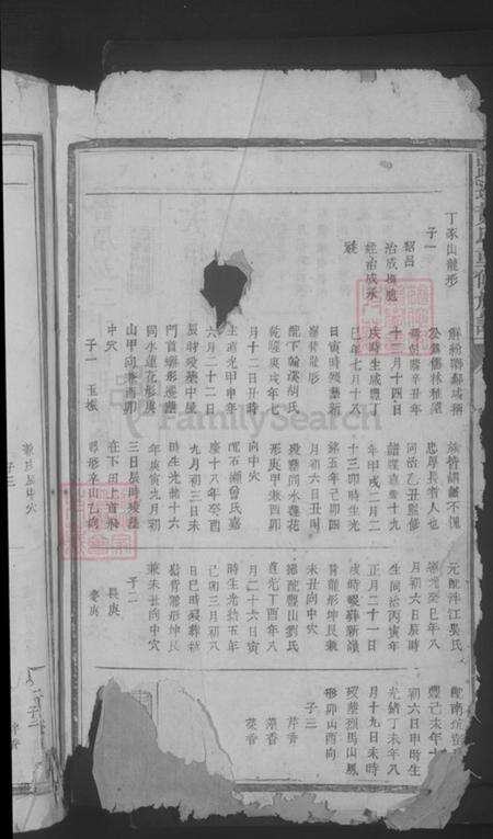 江西省吉安市泰和市螺溪镇黄氏族谱-路边黄氏重修族谱.pdf电子版预览图4