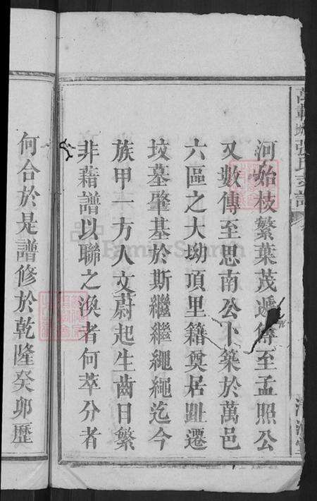 江西省宜春市万载县高村镇张氏清河堂族谱-万载大坳张氏支谱.pdf电子版预览图4