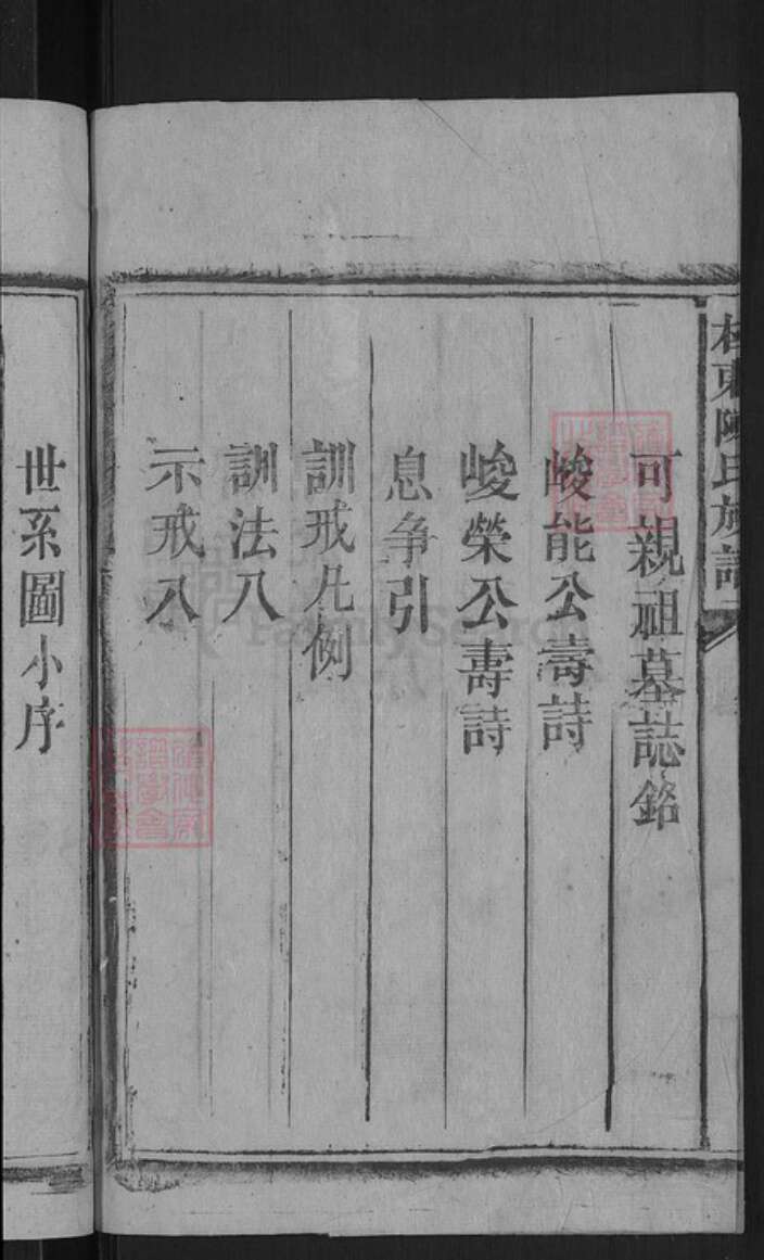 湖南省郴州市桂东县大塘镇陈氏颕川堂族谱-陈氏族谱.pdf电子版预览图4