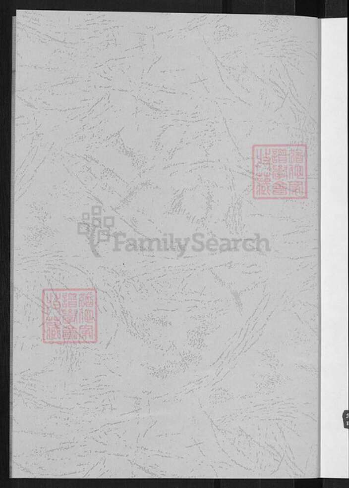 山西省吕梁市岚县界河口镇王氏族谱-楼坊坪王氏.pdf电子版预览图4