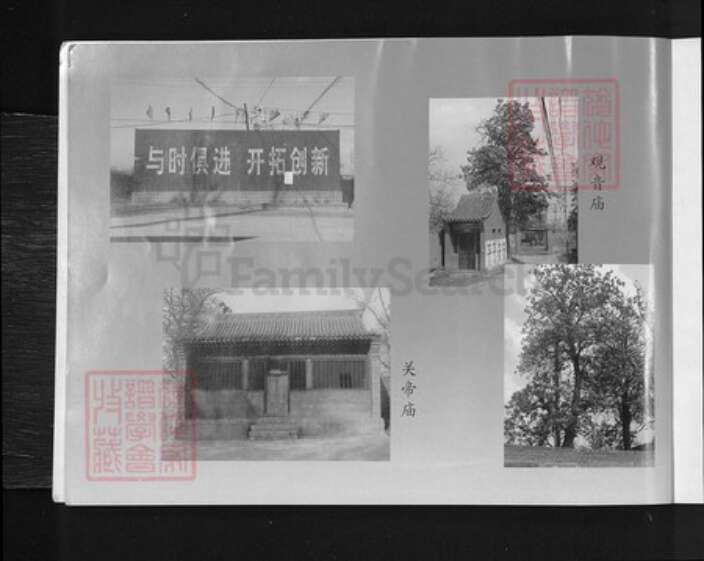 山西省忻州市原平市解村乡尚氏族谱-尚氏族谱.pdf电子版预览图4