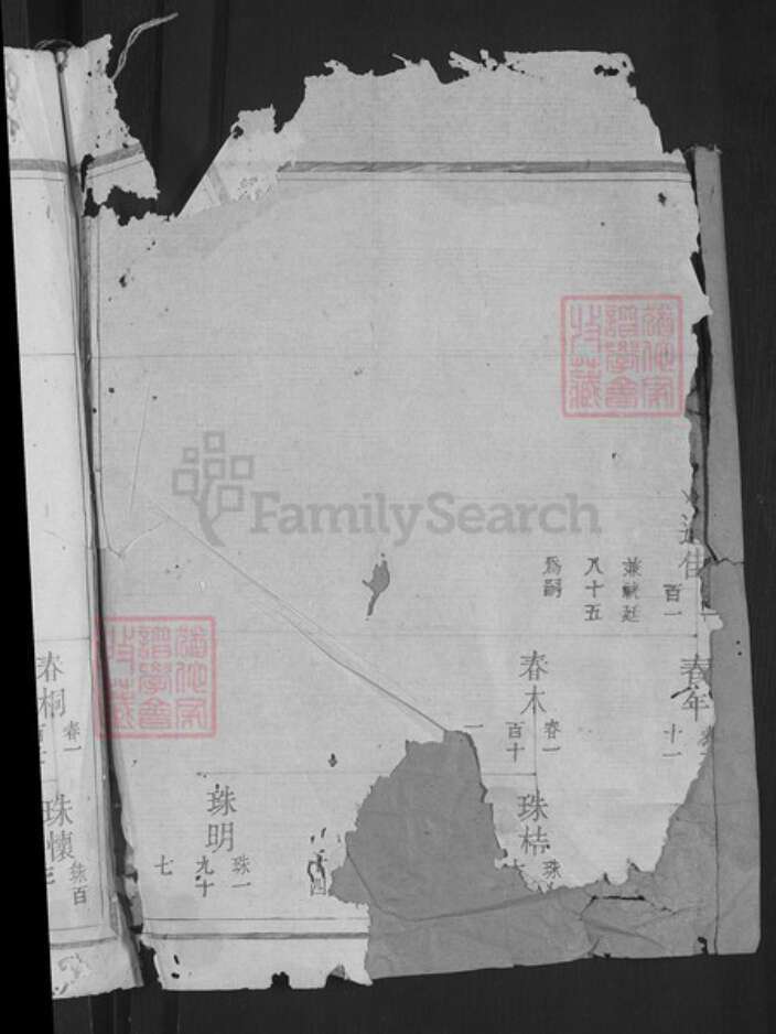 浙江省衢州江山市柴氏族谱-江阳嵩高柴氏宗谱.pdf电子版预览图4