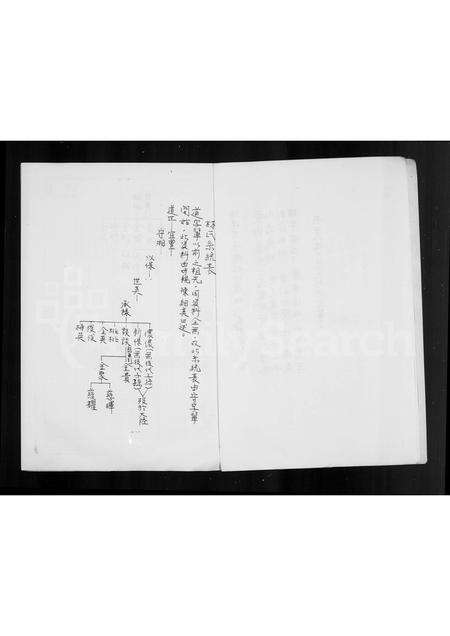 福建林氏族谱-林氏族谱.pdf电子版预览图4