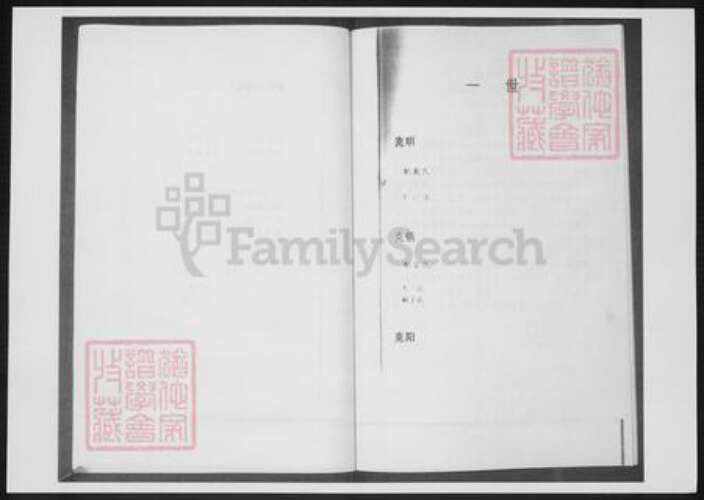 山东省青岛市即墨区孙氏族谱-后家屯孙氏家族谱系.pdf电子版预览图4