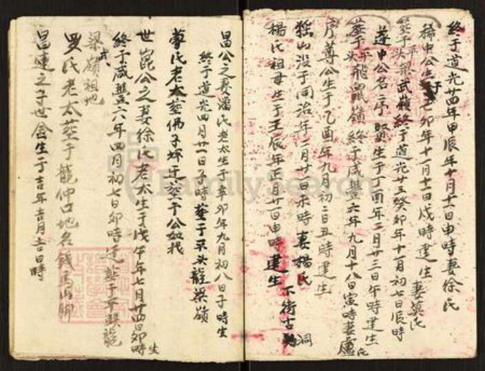 广东省韶关市南雄市珠玑镇覃氏族谱-覃姓宗枝部.pdf电子版预览图4