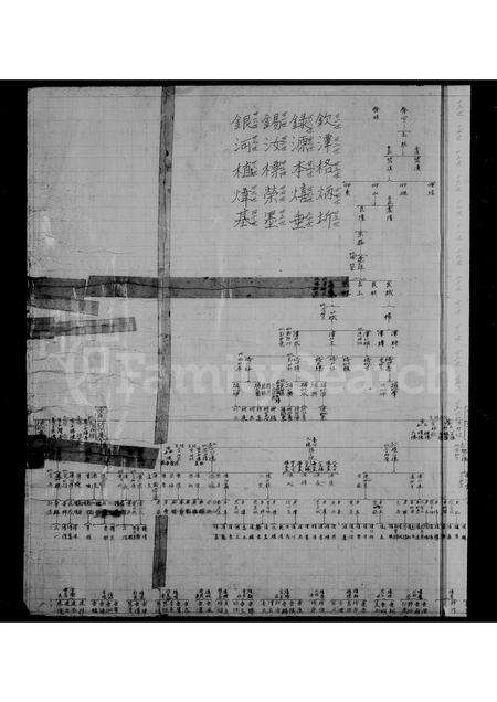 福建林氏族谱-西安林氏红系图.pdf电子版预览图4