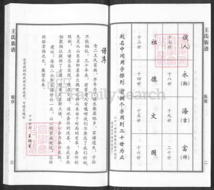 河北省沧州沧州地区南皮王氏族谱-王氏族谱.pdf电子版预览图4