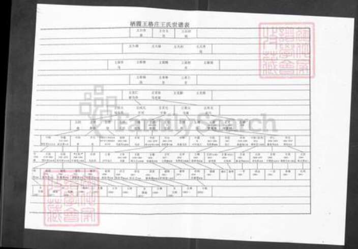 山东省烟台市栖霞市庄园街道王氏族谱-王氏谱书.pdf电子版预览图4