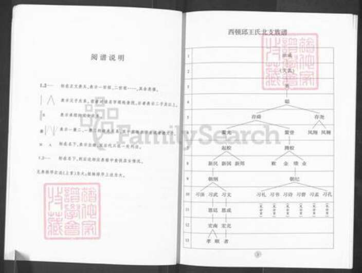 山东省济南市历城区王氏族谱-西顿邱王氏北支族谱.pdf电子版预览图4