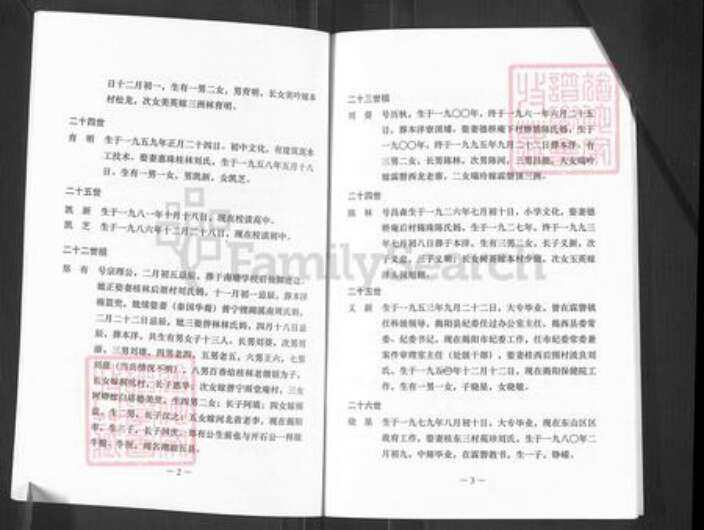 广东省揭阳市揭东区霖磐镇王氏族谱-王氏族谱.开石公世系.pdf电子版预览图4