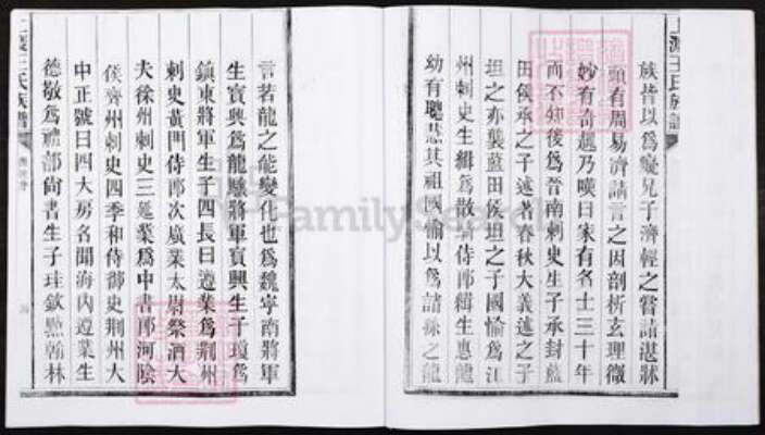 湖南省郴州市宜章县里田镇王氏族谱-湖南宜章县上渡王氏族谱.pdf电子版预览图4