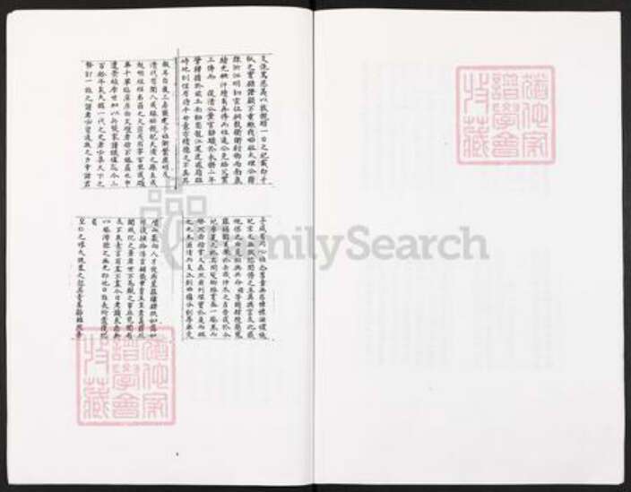 湖南省邵阳市武冈市武冈王氏族谱-王氏族谱垫江县太平镇王家老湾王氏宗族.pdf电子版预览图4