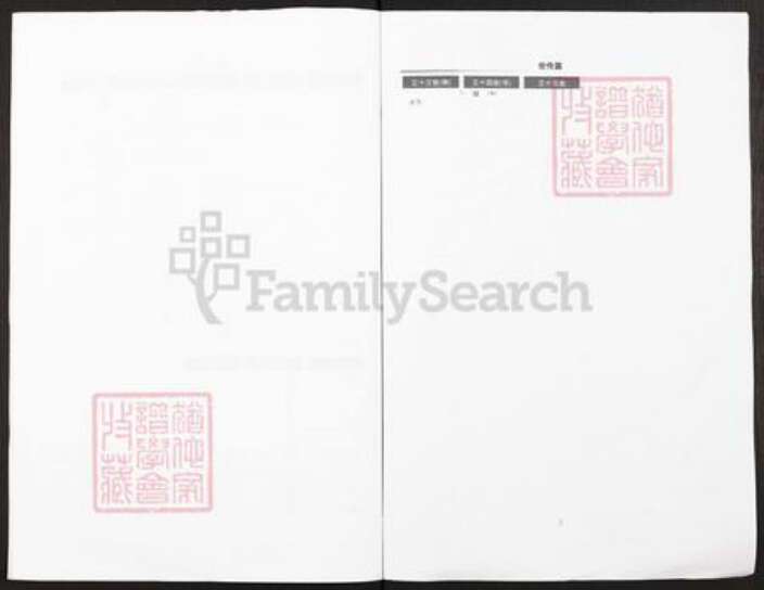 贵州省铜仁市铜仁市王氏族谱-贵州省沿河县城金田王氏族谱.pdf电子版预览图4