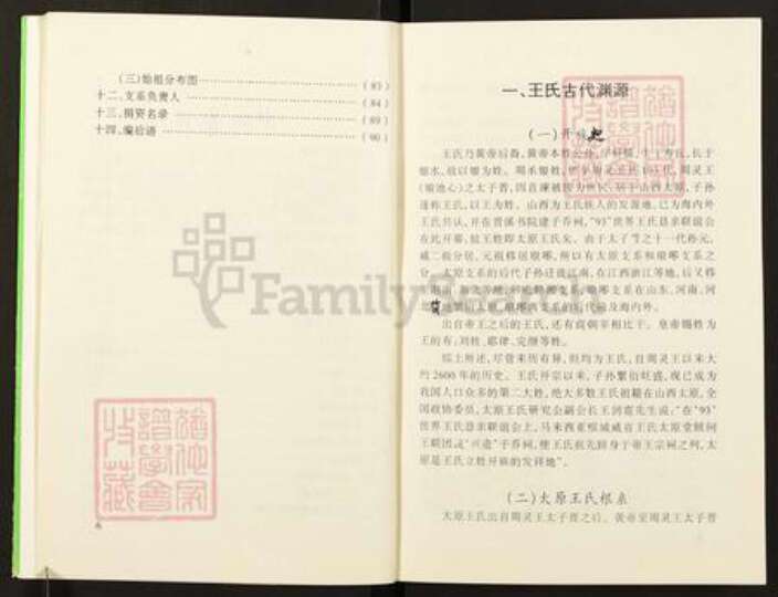 重庆市南川区南平镇王氏族谱-王家入川胡家(土党)支系祖德流芳.pdf电子版预览图4