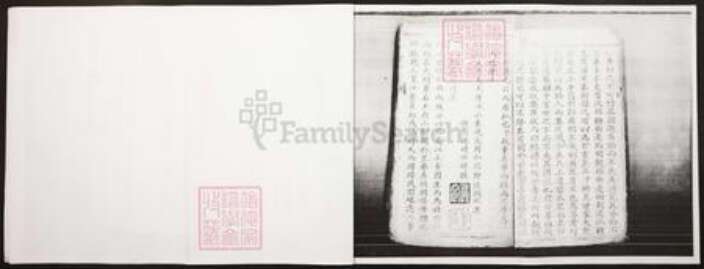 四川省泸州市江阳区王氏族谱-王氏家谱.pdf电子版预览图4