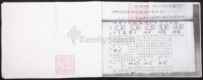 湖南省邵阳市武冈市王氏族谱-王氏重修族谱.pdf电子版预览图4