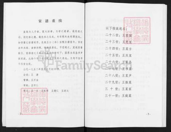 河南省安阳市汤阴县五陵镇王氏族谱-王氏家谱.pdf电子版预览图4