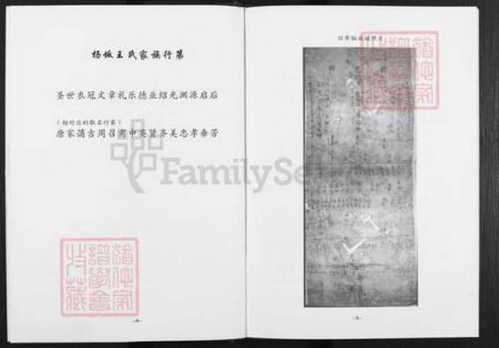 福建省福州市闽清县坂东镇王氏族谱-杨坂王氏族谱.pdf电子版预览图4