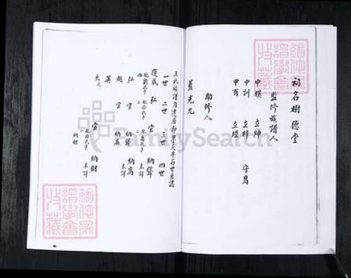 山东省青岛市崂山区王氏族谱-书院社区王氏族谱.pdf电子版预览图4