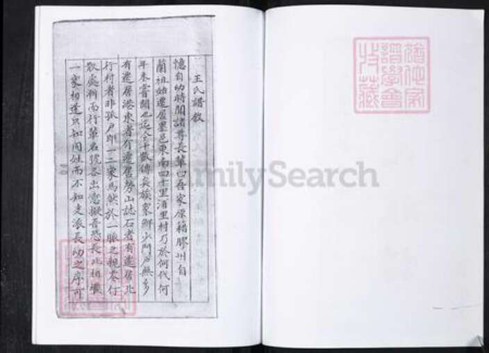 山东省青岛市崂山区王氏族谱-港东社区王氏谱书.pdf电子版预览图4