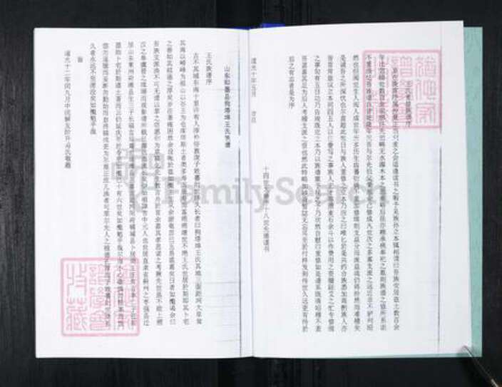 山东省青岛市王氏族谱-流亭红端口村王氏族谱.pdf电子版预览图4