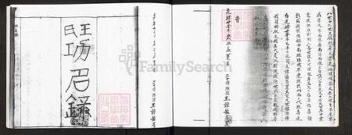 广东省广州市番禺区王氏族谱-族谱源流.pdf电子版预览图4