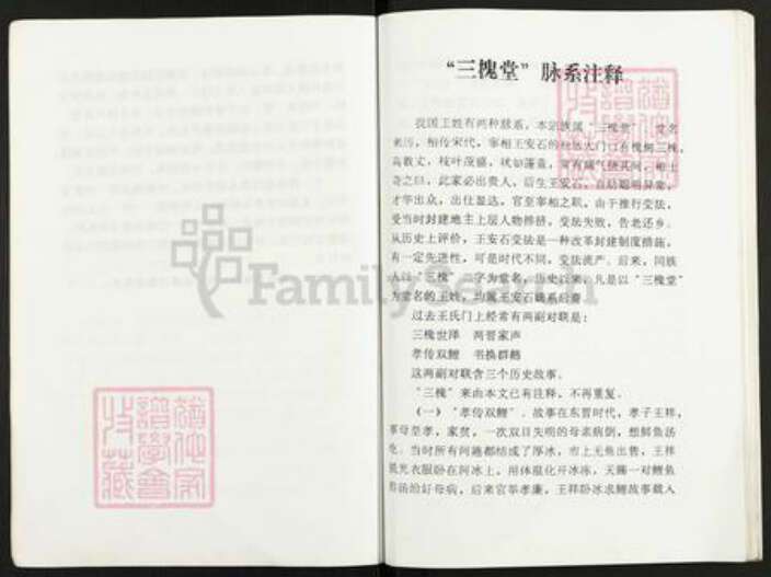 江苏省扬州市高邮市王氏三槐堂族谱-王氏本支家谱.pdf电子版预览图4