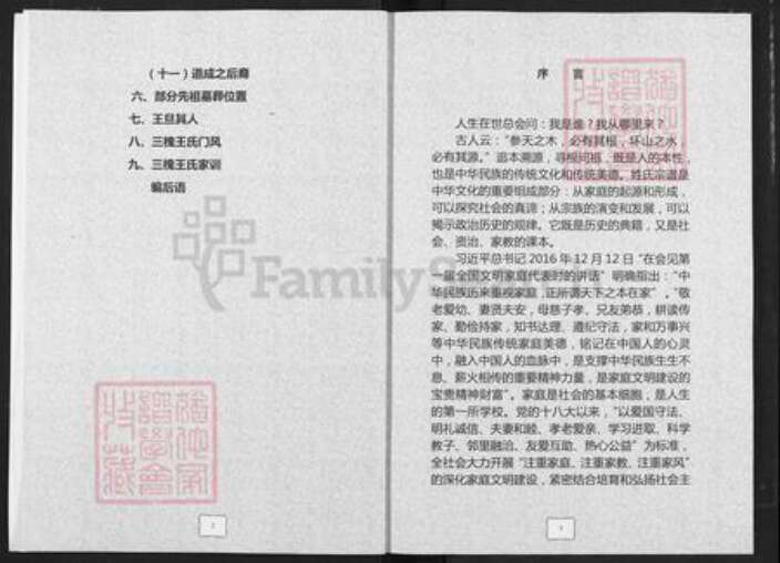 湖北省宜昌市夷陵区王氏三槐堂族谱-王氏宗谱.pdf电子版预览图4